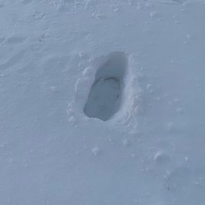 Meet your Posher, Ken